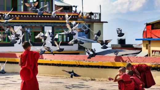 Planning your trip? Here's everything you need to know about how to reach Gangtok by air, road & rail, plus cheapest Gangtok tour package