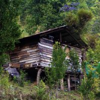 Lum - Lower Dzongu
