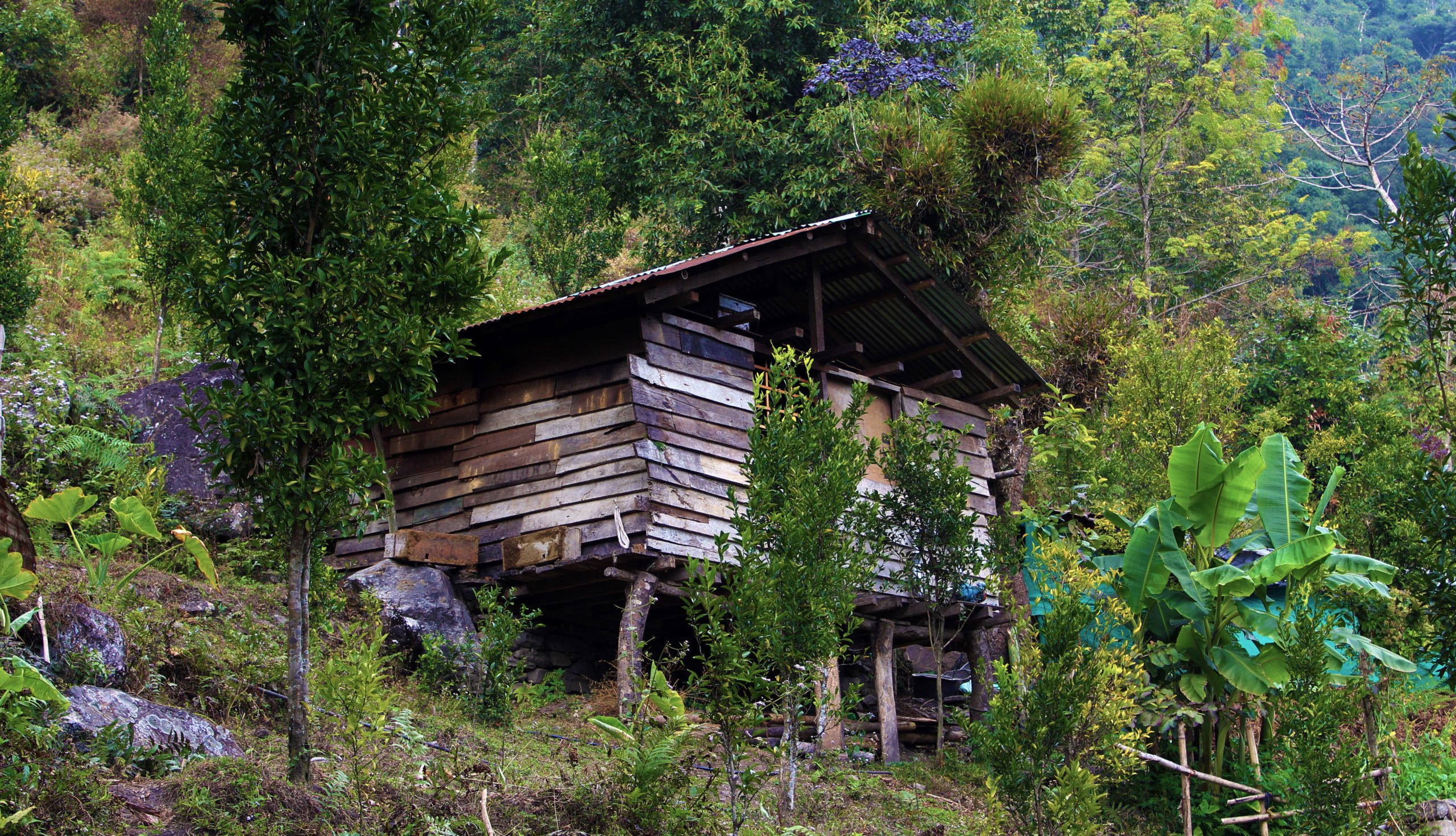 Lum - Lower Dzongu