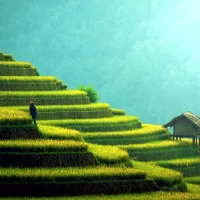Handpicked Things to do in Sikkim