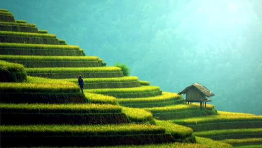 Handpicked Things to do in Sikkim