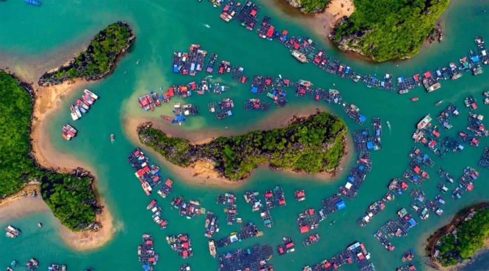 Majuli Island in Assam